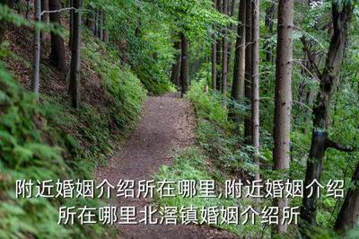 晋宁婚介网站有哪些公司,国际婚介网站有哪些