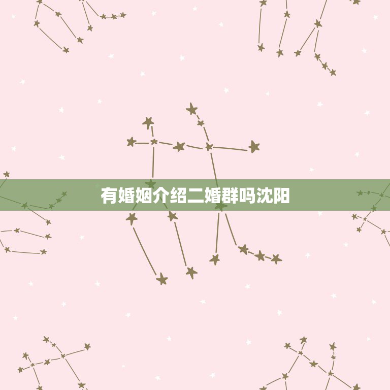 有婚姻介绍二婚群吗沈阳,沈阳有涉外婚姻介绍所吗?