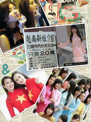 锦绣岭南 美哉越南