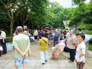 参加婚介的相亲会费用 婚介所相亲成功一般收取多少费用