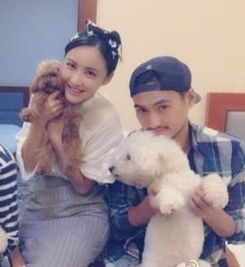 张歆艺袁弘baby与黄晓明李晨范冰冰 跑男 成婚介所