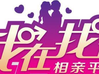 南岸婚姻介绍所所