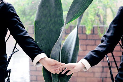 苏州我主良缘婚介所 感情面前为什么你总是很迷茫
