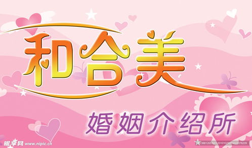 和合美婚姻介绍所设计图