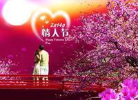 情人节-相亲相会吧-相亲相会吧|苍南婚姻介绍所产品分类